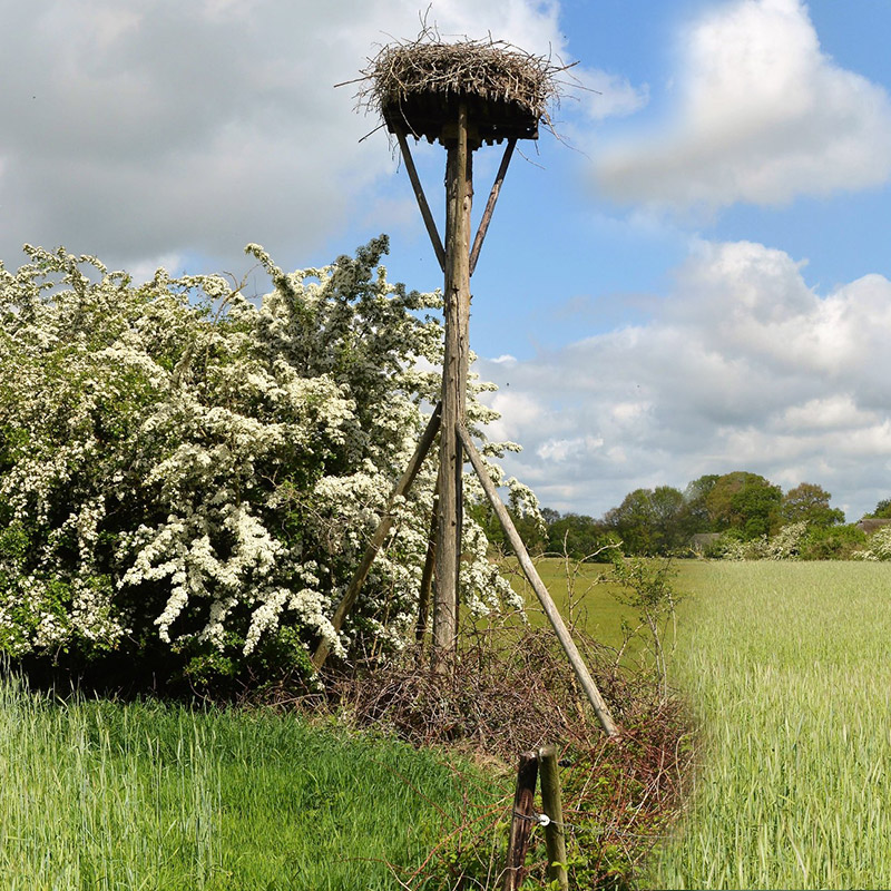 De locatie kenmerken